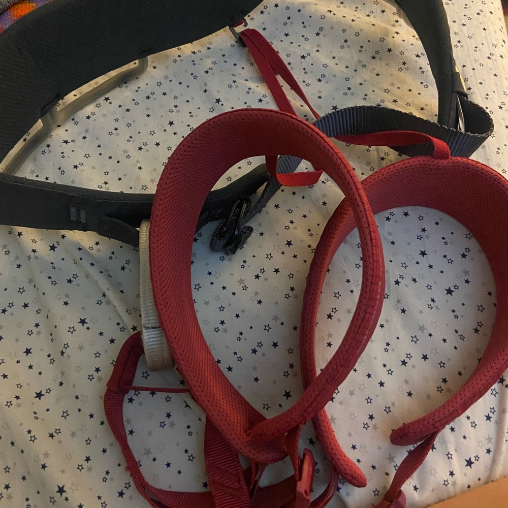 Harness Medium with belay device